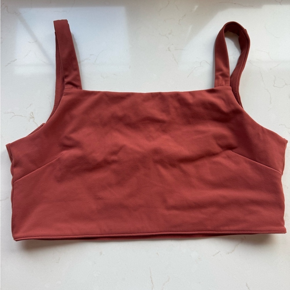Paragon Fitwear Terracotta Sports Bra / xlarge
